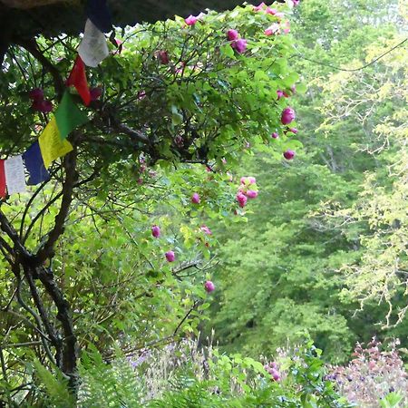 Au Coeur Des Loges Bed & Breakfast Saint-Bonnet-de-Bellac ภายนอก รูปภาพ