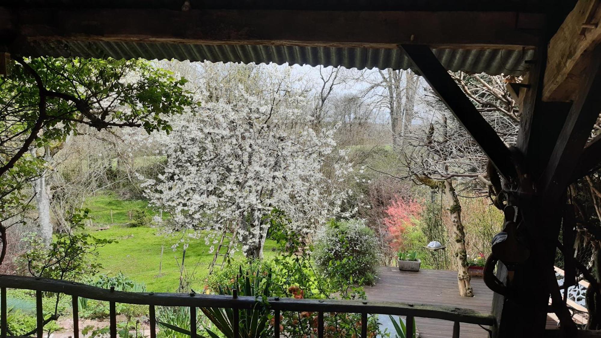 Au Coeur Des Loges Bed & Breakfast Saint-Bonnet-de-Bellac ภายนอก รูปภาพ