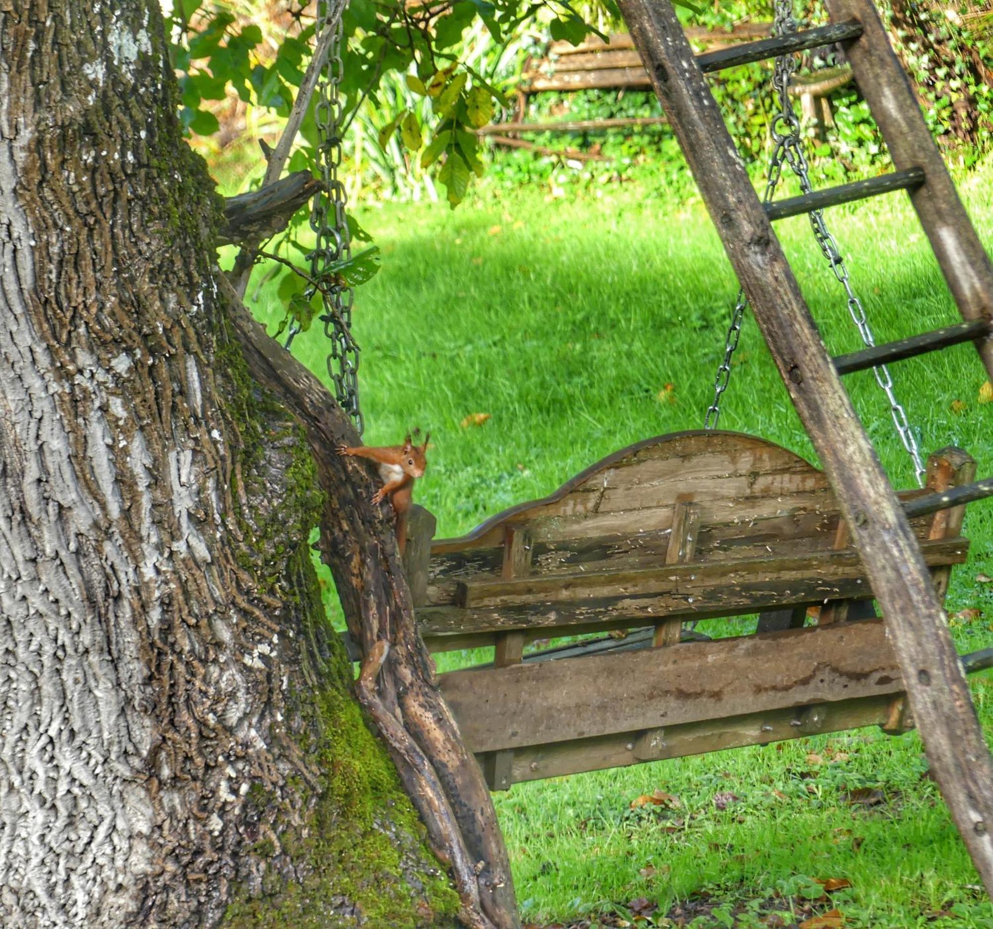 Au Coeur Des Loges Bed & Breakfast Saint-Bonnet-de-Bellac ภายนอก รูปภาพ