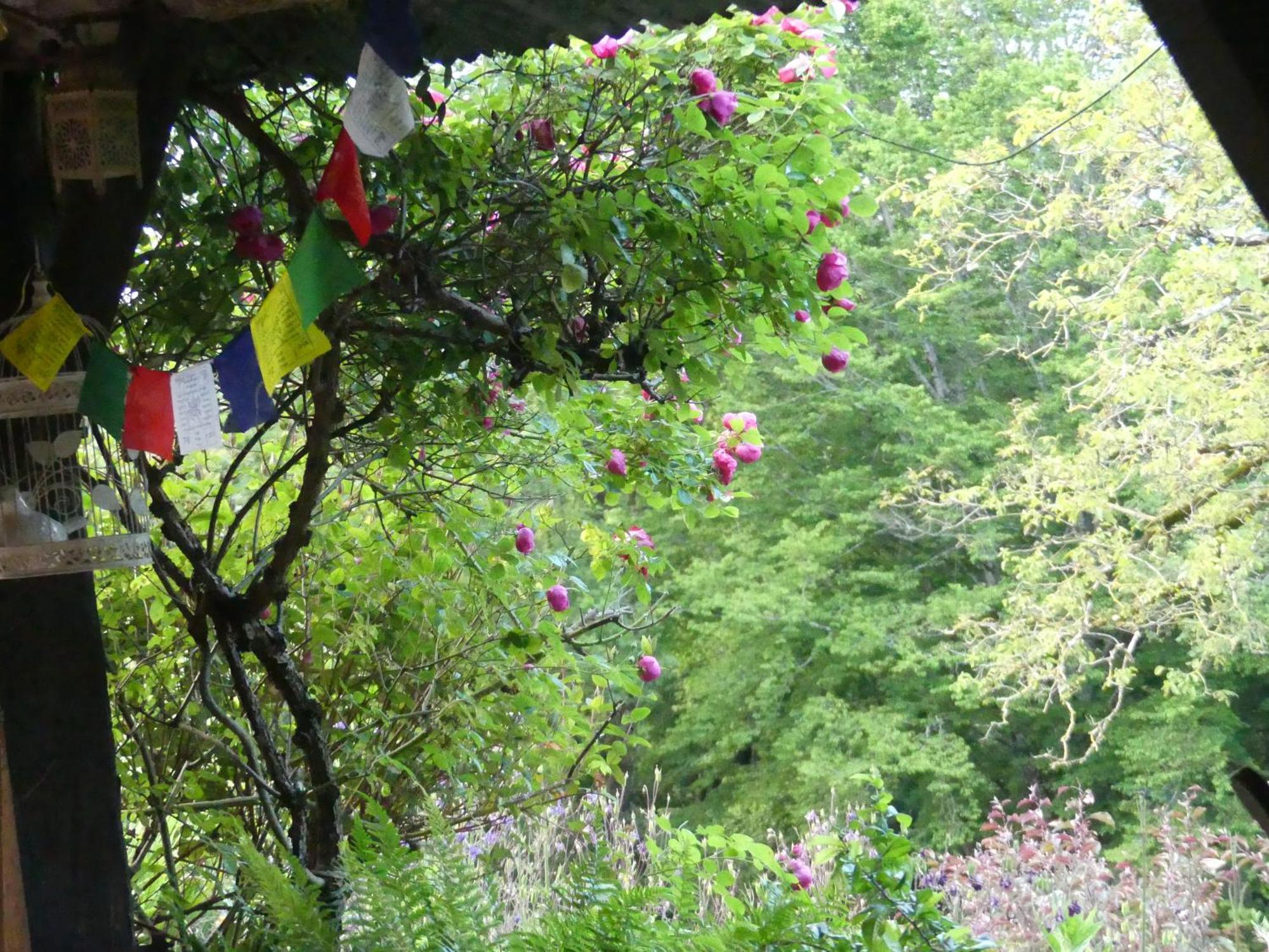 Au Coeur Des Loges Bed & Breakfast Saint-Bonnet-de-Bellac ภายนอก รูปภาพ